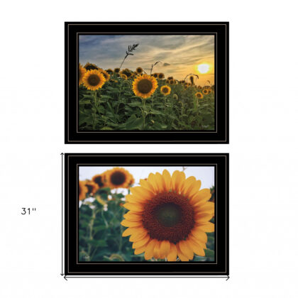 Set Of Two Midwest Living Collection 2-Piece 3 Black Framed Print Wall Art