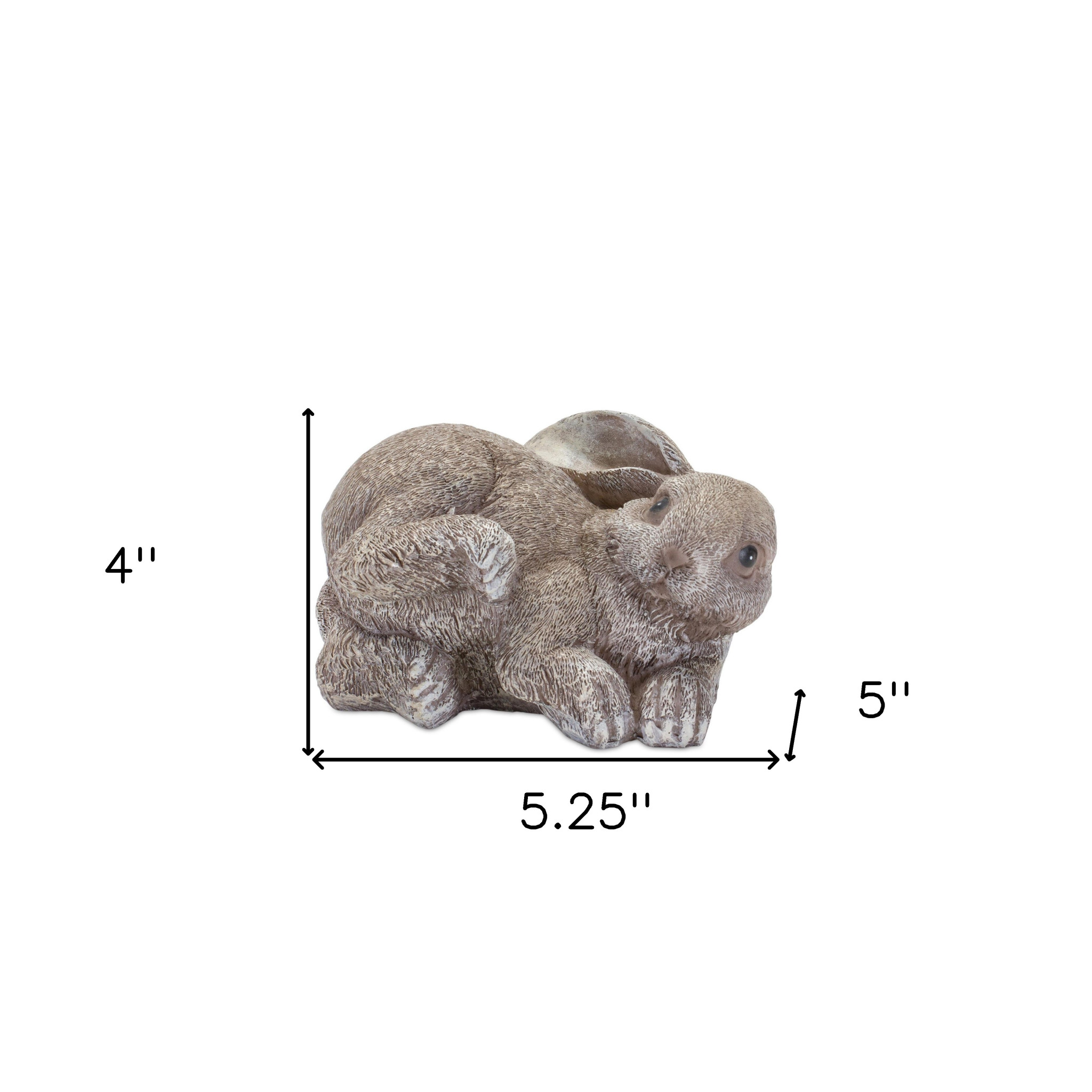 278944926.jpg