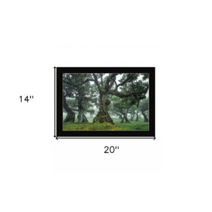 Enchanted Forest I 1 Black Framed Print Wall Art
