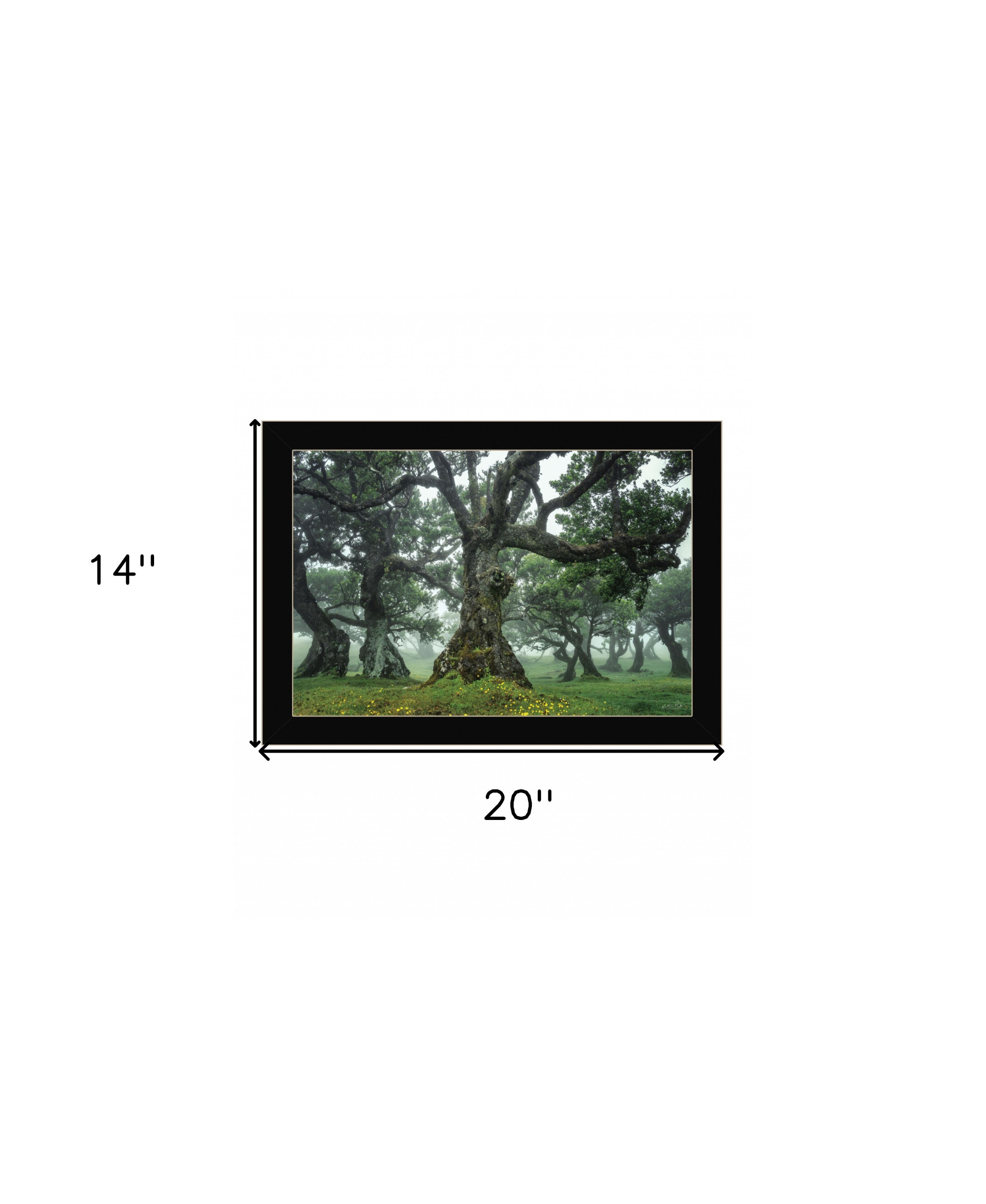 Enchanted Forest I 1 Black Framed Print Wall Art - Image 6