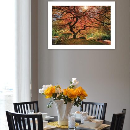 First Colors Of Fall I 1 White Framed Print Wall Art