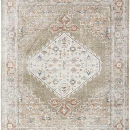 8' X 10' Sage Oriental Power Loom Distressed Washable Area Rug