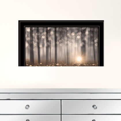 Enchanted Morning 2 Black Framed Print Wall Art