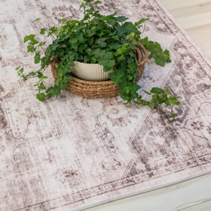 4' x 6' Brown and Ivory Oriental Area Rug