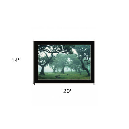 Enchanted Forest II 1 Black Framed Print Wall Art