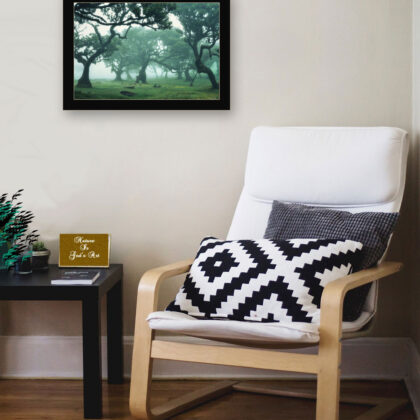 Enchanted Forest II 1 Black Framed Print Wall Art