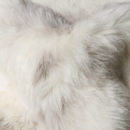 Spotted Animal Print Area Rug