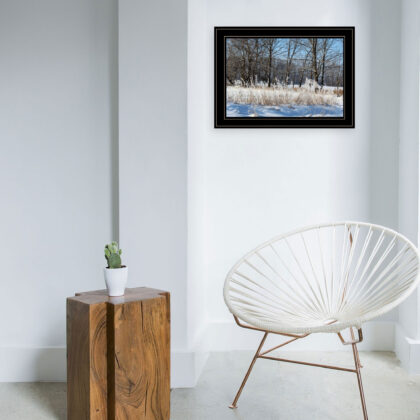 Natures Simple Blessings 2 Black Framed Print Wall Art