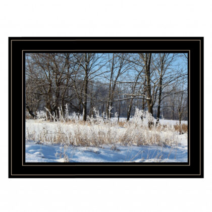Natures Simple Blessings 2 Black Framed Print Wall Art
