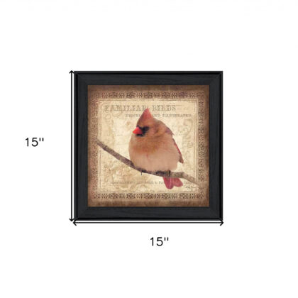 Female Cardinal 2 Black Framed Print Wall Art