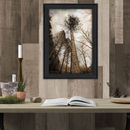 Skys The Limit Black Framed Print Wall Art