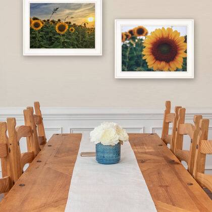 Set Of Two Midwest Living 1 White Framed Print Wall Art