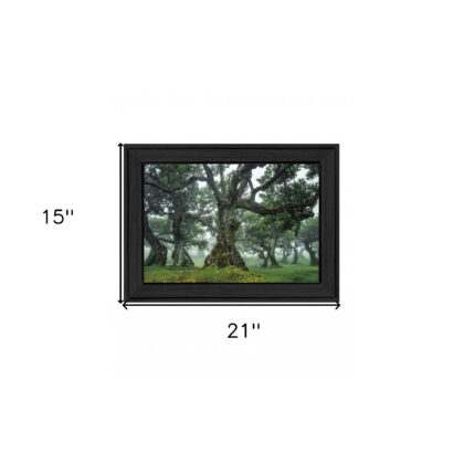 Enchanted Forest I 3 Black Framed Print Wall Art