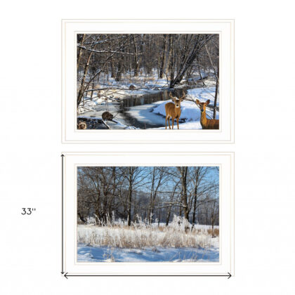 Set Of Two Great Outdoors Nature Or Winter Forest 2 White Framed Print Wall Art