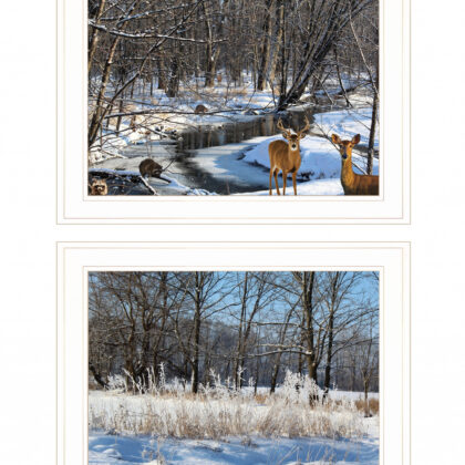 Set Of Two Great Outdoors Nature Or Winter Forest 2 White Framed Print Wall Art