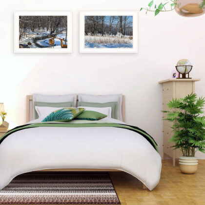 Set Of Two Great Outdoors Nature Or Winter Forest 2 White Framed Print Wall Art