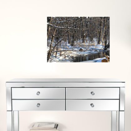 Set Of Two Great Outdoors Nature Or Winter Forest 2 White Framed Print Wall Art