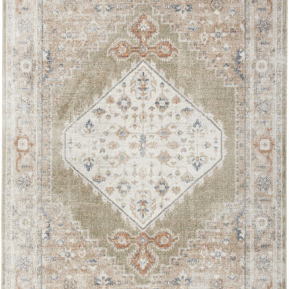 5' x 7' Sage Oriental Power Loom Distressed Washable Area Rug