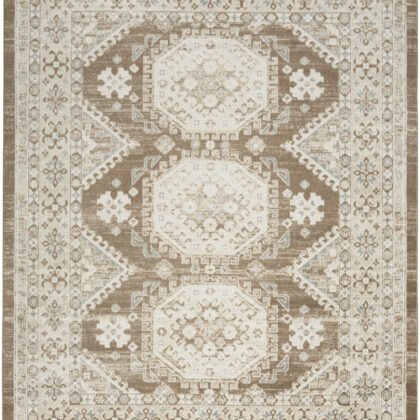 8' x 10' Brown Geometric Distressed Area Rug