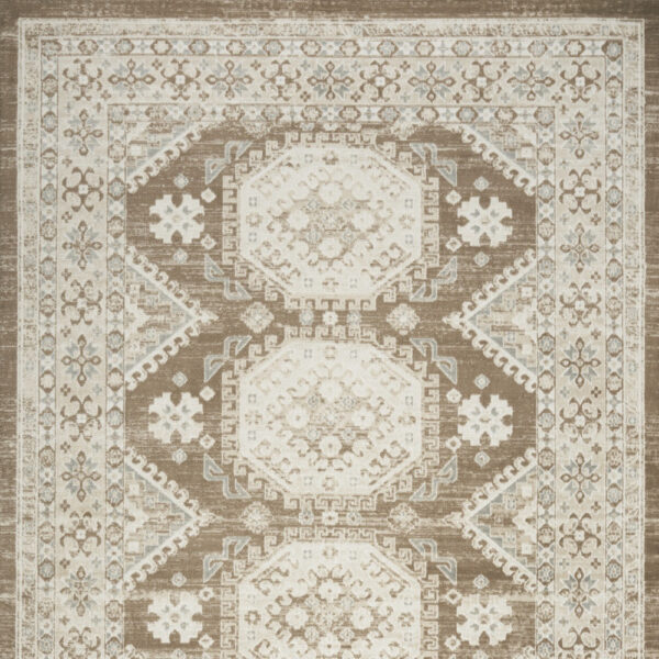 8' x 10' Brown Geometric Distressed Area Rug