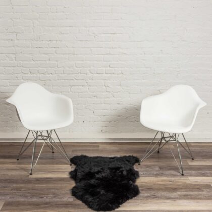 2' X 3' Black New Zealand Natural Sheepskin Rug