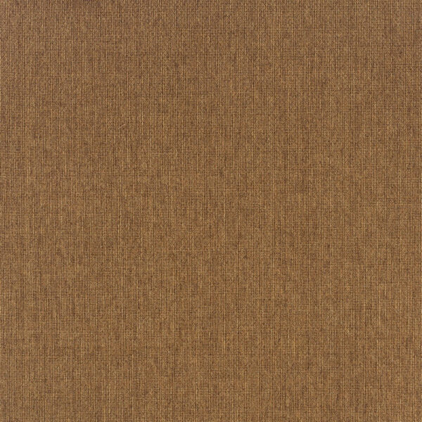 5' X 8' Tan Stain Resistant Indoor Outdoor Area Rug