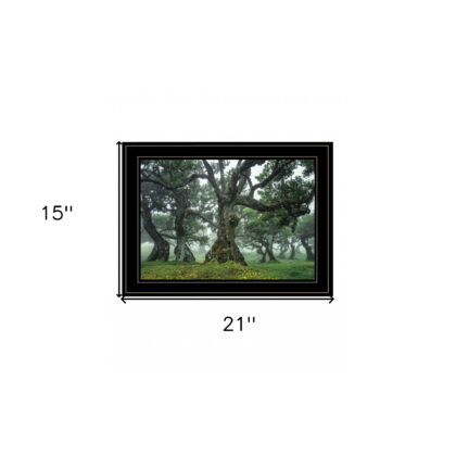 Enchanted Forest I 4 Black Framed Print Wall Art