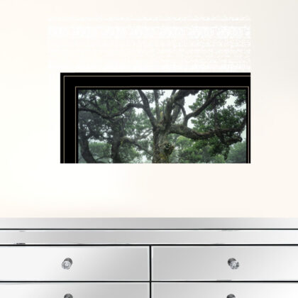 Enchanted Forest I 4 Black Framed Print Wall Art