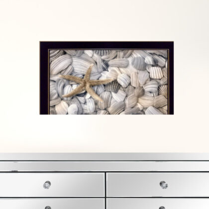 Starfish And Seashell 1 Black Framed Print Wall Art