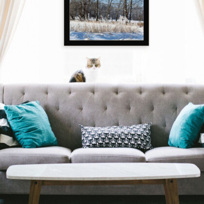 Natures Simple Blessings 3 Black Framed Print Wall Art