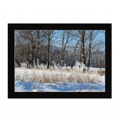Natures Simple Blessings 3 Black Framed Print Wall Art