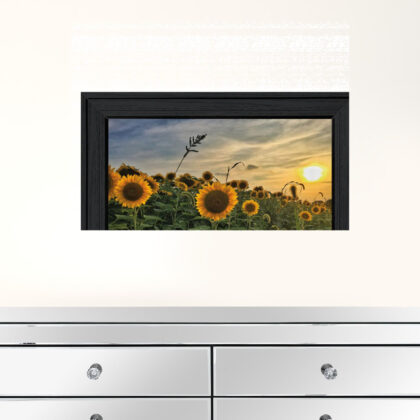 Midwest Livin I 2 Black Framed Print Wall Art