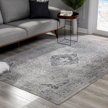 4' X 6' Grey Oriental Area Rug