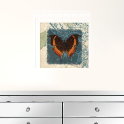 Swirl Butterfly II White Framed Print Wall Art