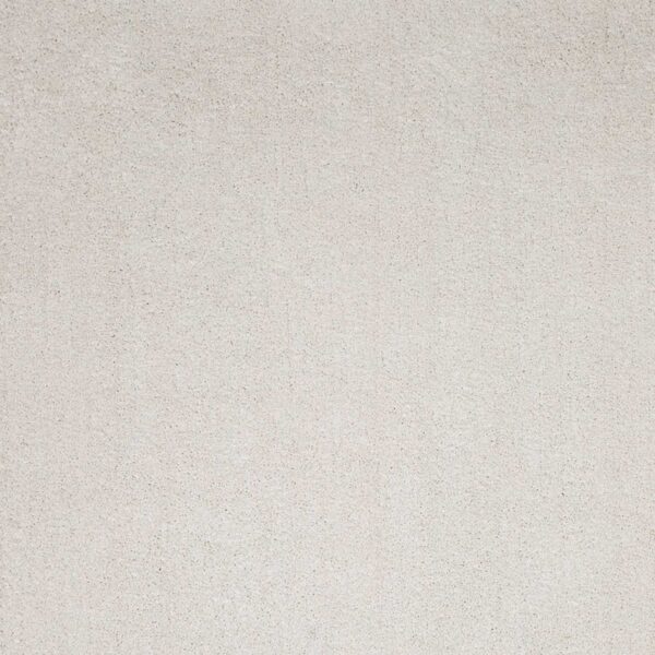 3' X 5' Ivory Plain Area Rug