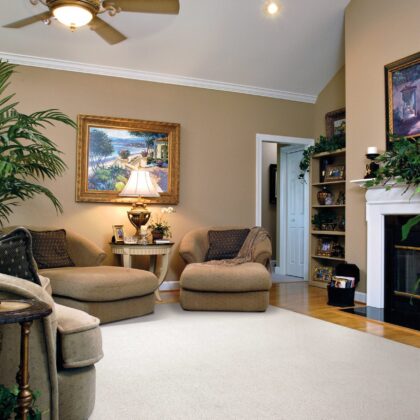 3' X 5' Ivory Plain Area Rug