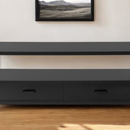 47" Black Cabinet Enclosed Storage TV Stand