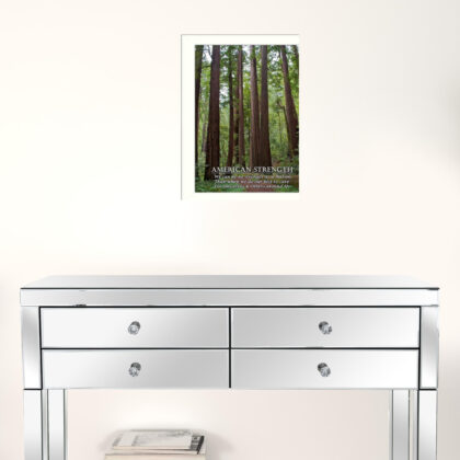 American Strength 4 White Framed Print Wall Art