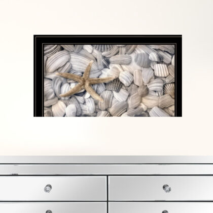 Starfish & Seashells 4 Black Framed Print Wall Art