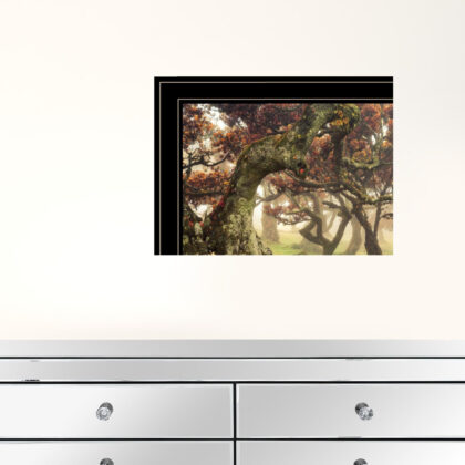 Set Of Two The Land Of Hobbits 2 Black Framed Print Wall Art