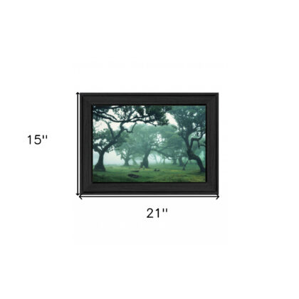 Enchanted Forest II 3 Black Framed Print Wall Art