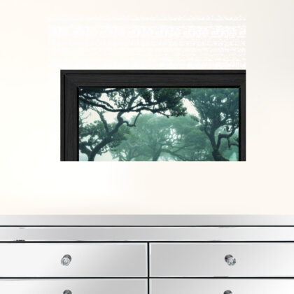Enchanted Forest II 3 Black Framed Print Wall Art