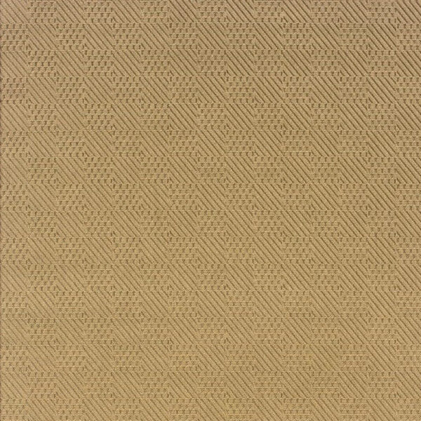 2' X 4' Beige Indoor Outdoor Area Rug
