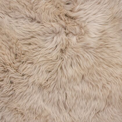 Taupe Animal Print Area Rug