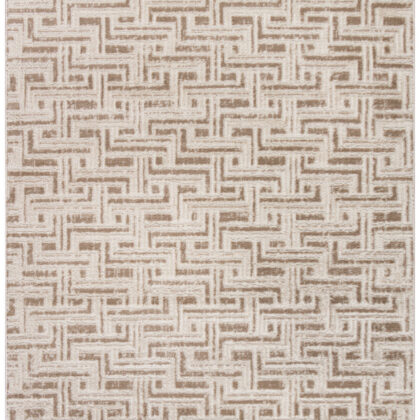 4' x 6' Brown Geometric Distressed Area Rug