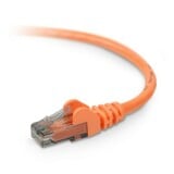 Belkin Cat 6 Patch Cable