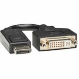 Tripp Lite Displayport to Dvi Adapter Video Converter Dp-M to Dvi-I-F 6in