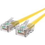 Belkin Cat6 Patch Cable