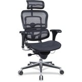 Eurotech Ergohuman Me7ergw091 Mesh Multifunction Executive Chair