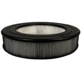Honeywell Honeywell True Hepa Replacement Filter